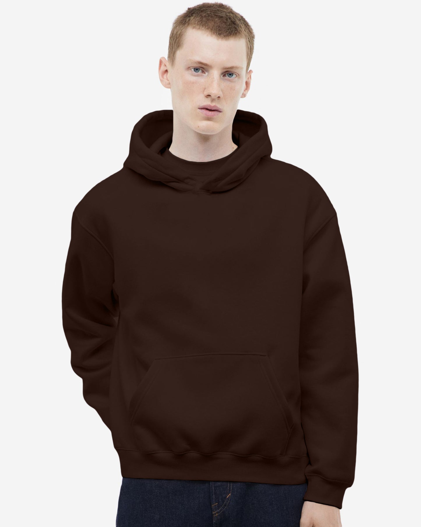 Solid Regular Fit Hoodie Brown